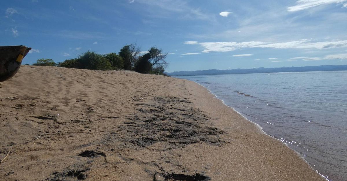 How Chinese state companies quietly took over millions of tons of Malawi’s critical minerals